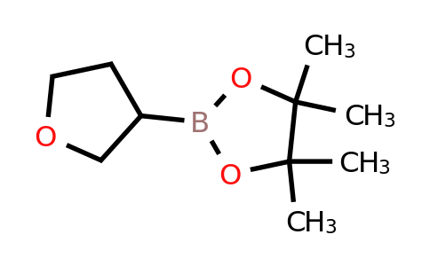 CAS 331958-90-8 | Tetrahydrofuran-3-boronic acid pinacol ester