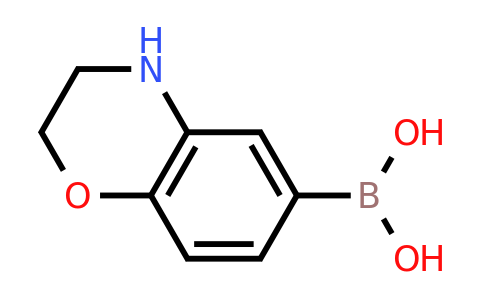 CAS 338454-17-4 | 3,4-Dihydro-2H-benzo[1,4]oxazine-6-boronic acid