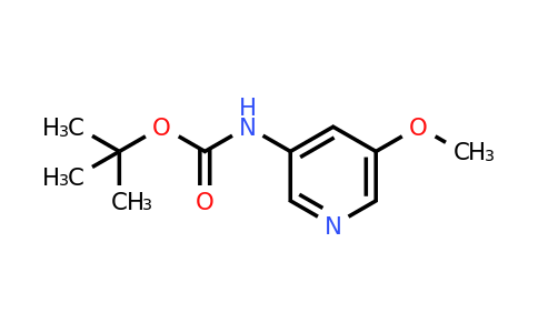 CAS 342603-10-5 | (5-Methoxy-pyridin-3-yl)-carbamic acid tert-butyl ester