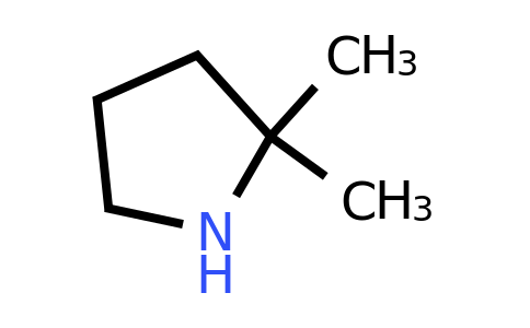 CAS 35018-15-6 | 2,2-dimethylpyrrolidine