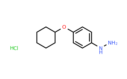CAS 350683-68-0 | (4-Cyclohexyloxy-phenyl)-hydrazine hydrochloride