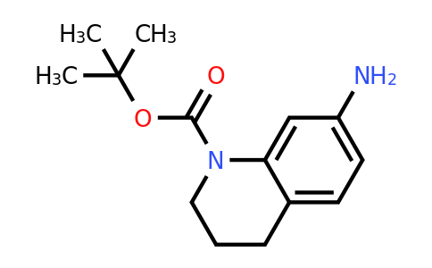 CAS 351324-70-4 | 7-Amino-3,4-dihydro-2H-quinoline-1-carboxylic acid tert-butyl ester