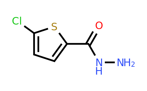 CAS 351983-31-8 | 5-Chloro-thiophene-2-carboxylic acid hydrazide