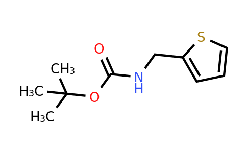CAS 401485-19-6 | Thiophen-2-ylmethyl-carbamic acid tert-butyl ester
