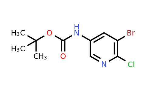 CAS 405939-59-5 | (5-Bromo-6-chloro-pyridin-3-yl)-carbamic acid tert-butyl ester
