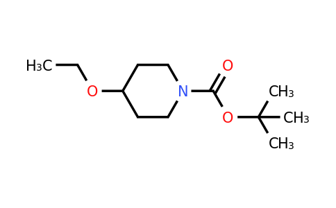 CAS 460367-82-2 | tert-Butyl 4-ethoxypiperidine-1-carboxylate