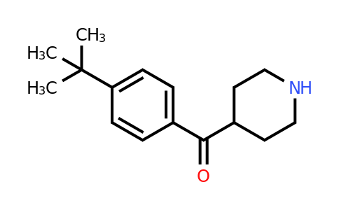CAS 478538-76-0 | (4-tert-Butyl-phenyl)-piperidin-4-yl-methanone