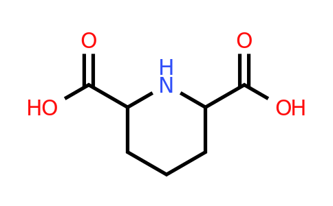 CAS 499-82-1 | Piperidine-2,6-dicarboxylic acid