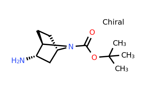 CAS 500556-93-4 | (1r,2s,4s)-rel-2-amino-7-boc-7-azabicyclo[2.2.1]heptane