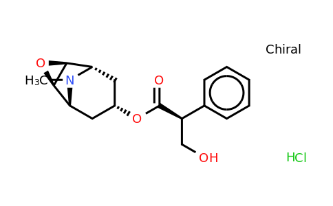 CAS 55-16-3 | Hyoscine hydrochloride