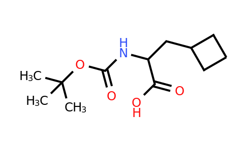 CAS 565456-75-9 | Boc-DL-cyclobutylalanine