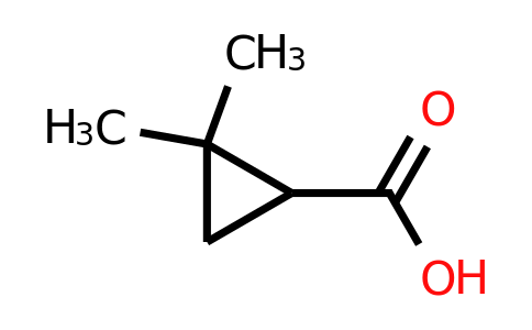 CAS 75885-59-5 | 2,2-Dimethyl cyclopropyl carboxylic acid