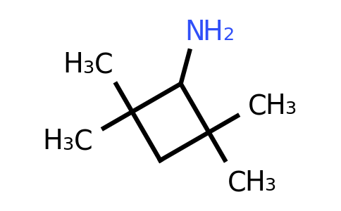 CAS 80874-89-1 | 2,2,4,4-tetramethylcyclobutan-1-amine