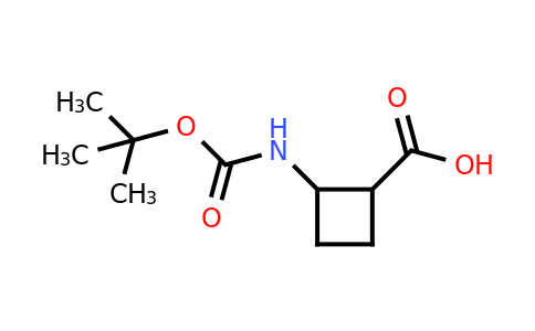 CAS 841202-83-3 | 2-{[(tert-butoxy)carbonyl]amino}cyclobutane-1-carboxylic acid
