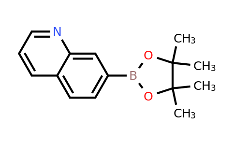 CAS 851985-81-4 | Quinoline-7-boronic acid pinacol ester
