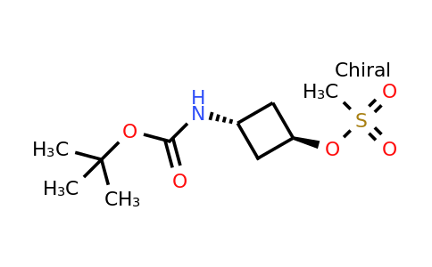 CAS 871014-17-4 | trans-tert-butyl N-[3-(methanesulfonyloxy)cyclobutyl]carbamate