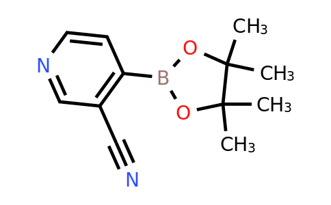 CAS 878194-92-4 | 3-Cyanopyridine-4-boronic acid pinacol ester