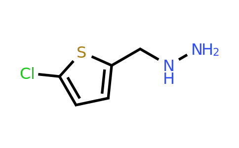 CAS 887592-42-9 | (5-Chloro-thiophen-2-ylmethyl)-hydrazine