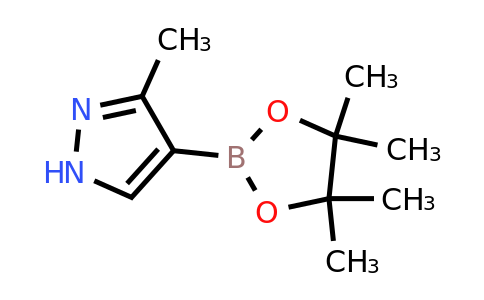3-Methyl-1H-pyrazole-4-boronic acid pinacol ester