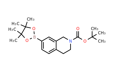 CAS 937048-76-5 | tert-butyl 7-(4,4,5,5-tetramethyl-1,3,2-dioxaborolan-2-yl)-1,2,3,4-tetrahydroisoquinoline-2-carboxylate