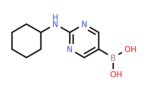 (2-Cyclohexylaminopyrimidin-5-YL)boronic acid