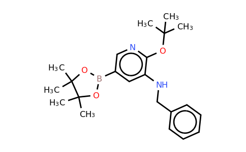 N-benzyl-2-tert-butoxy-5-(4,4,5,5-tetramethyl-1,3,2-dioxaborolan-2-YL)pyridin-3-amine