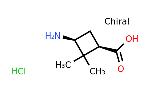 (1R,3S)-3-amino-2,2-dimethylcyclobutane-1-
carboxylic acid hydrochloride