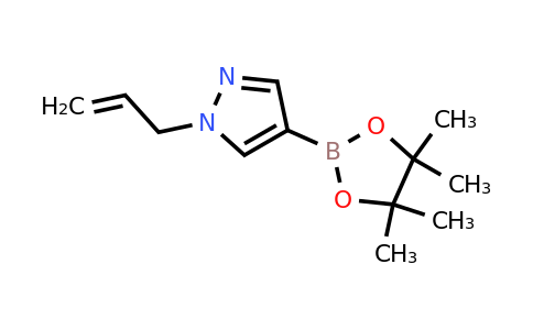 1-(prop-2-en-1-yl)-4-(tetramethyl-1,3,2-dioxaborolan-2-yl)-1H-pyrazole