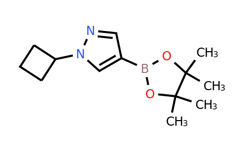 CAS 1002309-48-9 | 1-Cyclobutyl-4-(4,4,5,5-tetramethyl-1,3,2-dioxaborolan-2-YL)-1H-pyrazole