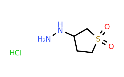 CAS 1004-15-5 | 3-hydrazinyl-1lambda6-thiolane-1,1-dione hydrochloride