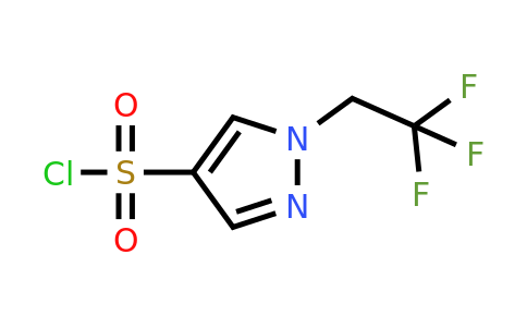 CAS 1006487-19-9 | 1-(2,2,2-trifluoroethyl)-1H-pyrazole-4-sulfonyl chloride