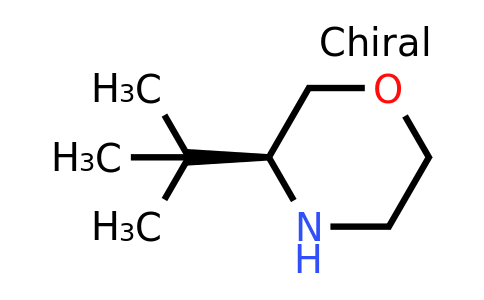 CAS 1007112-64-2 | (S)-3-(tert-Butyl)morpholine