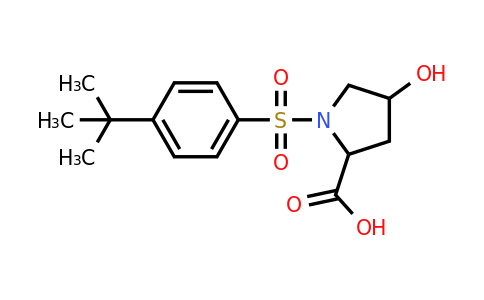 CAS 1009529-98-9 | 1-(4-tert-butylbenzenesulfonyl)-4-hydroxypyrrolidine-2-carboxylic acid