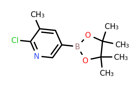 CAS 1010101-07-1 | 2-Chloro-3-methylpyridine-5-boronic acid pinacol ester
