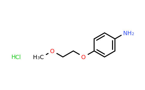 CAS 10141-52-3 | 4-(2-Methoxyethoxy)aniline hydrochloride