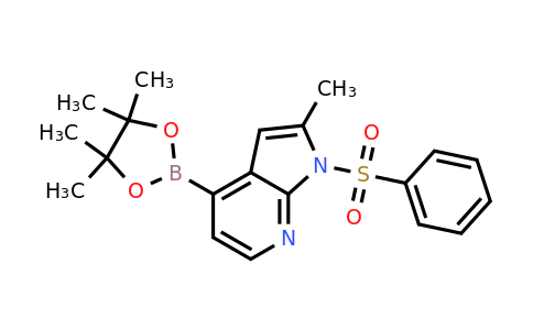 CAS 1014613-31-0 | 2-methyl-1-(phenylsulfonyl)-4-(4,4,5,5-tetramethyl-1,3,2-dioxaborolan-2-yl)-1h-pyrrolo[2,3-b]pyridine