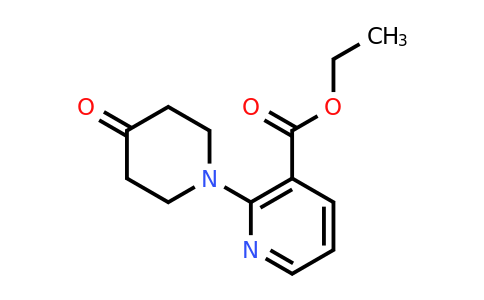 CAS 1016524-78-9 | Ethyl 2-(4-oxopiperidin-1-yl)nicotinate