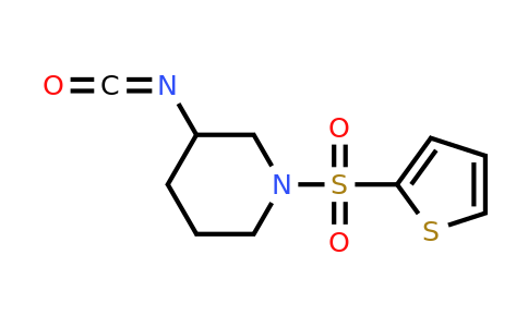 CAS 1016689-59-0 | 3-isocyanato-1-(thiophene-2-sulfonyl)piperidine