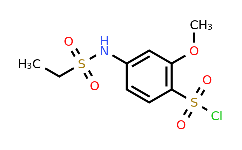 CAS 1016745-02-0 | 4-ethanesulfonamido-2-methoxybenzene-1-sulfonyl chloride