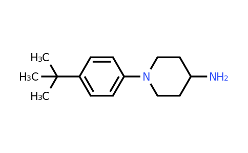 CAS 1016818-89-5 | 1-(4-tert-Butylphenyl)piperidin-4-amine