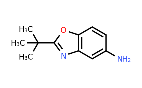 CAS 1017046-27-3 | 2-tert-Butyl-1,3-benzoxazol-5-amine