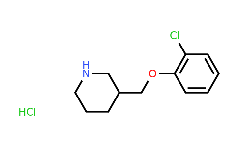 CAS 1018446-64-4 | 3-[(2-chlorophenoxy)methyl]piperidine hydrochloride