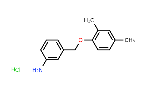 CAS 1019112-03-8 | 3-((2,4-Dimethylphenoxy)methyl)aniline hydrochloride