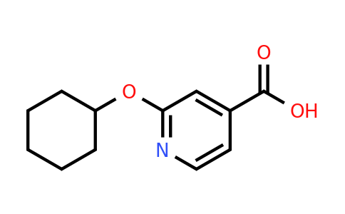 CAS 1019353-19-5 | 2-(cyclohexyloxy)pyridine-4-carboxylic acid