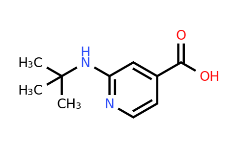 CAS 1019387-62-2 | 2-(tert-Butylamino)isonicotinic acid