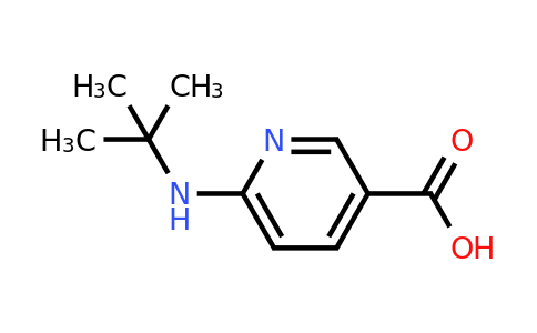 CAS 1019387-69-9 | 6-(tert-butylamino)pyridine-3-carboxylic acid