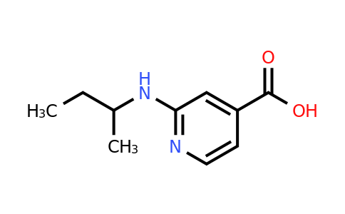 CAS 1019388-11-4 | 2-(sec-Butylamino)isonicotinic acid
