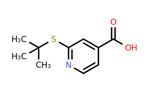CAS 1019539-10-6 | 2-(tert-butylsulfanyl)pyridine-4-carboxylic acid
