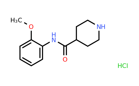 CAS 1019851-99-0 | N-(2-Methoxyphenyl)Piperidine-4-Carboxamide Hydrochloride