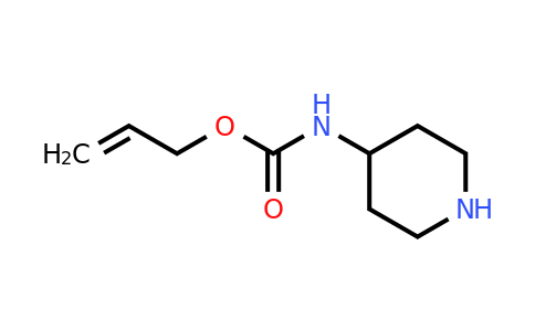 CAS 1023810-85-6 | Piperidin-4-YL-carbamic acid allyl ester